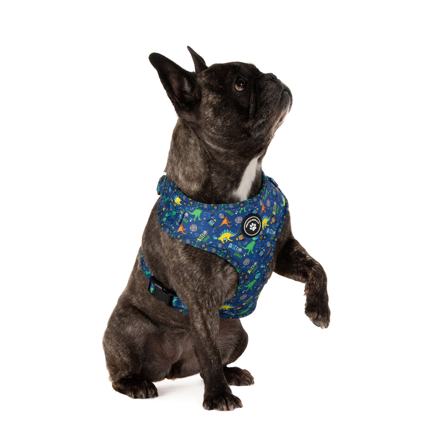 Dog Harness + Lead Set: Dinos of the Galaxy