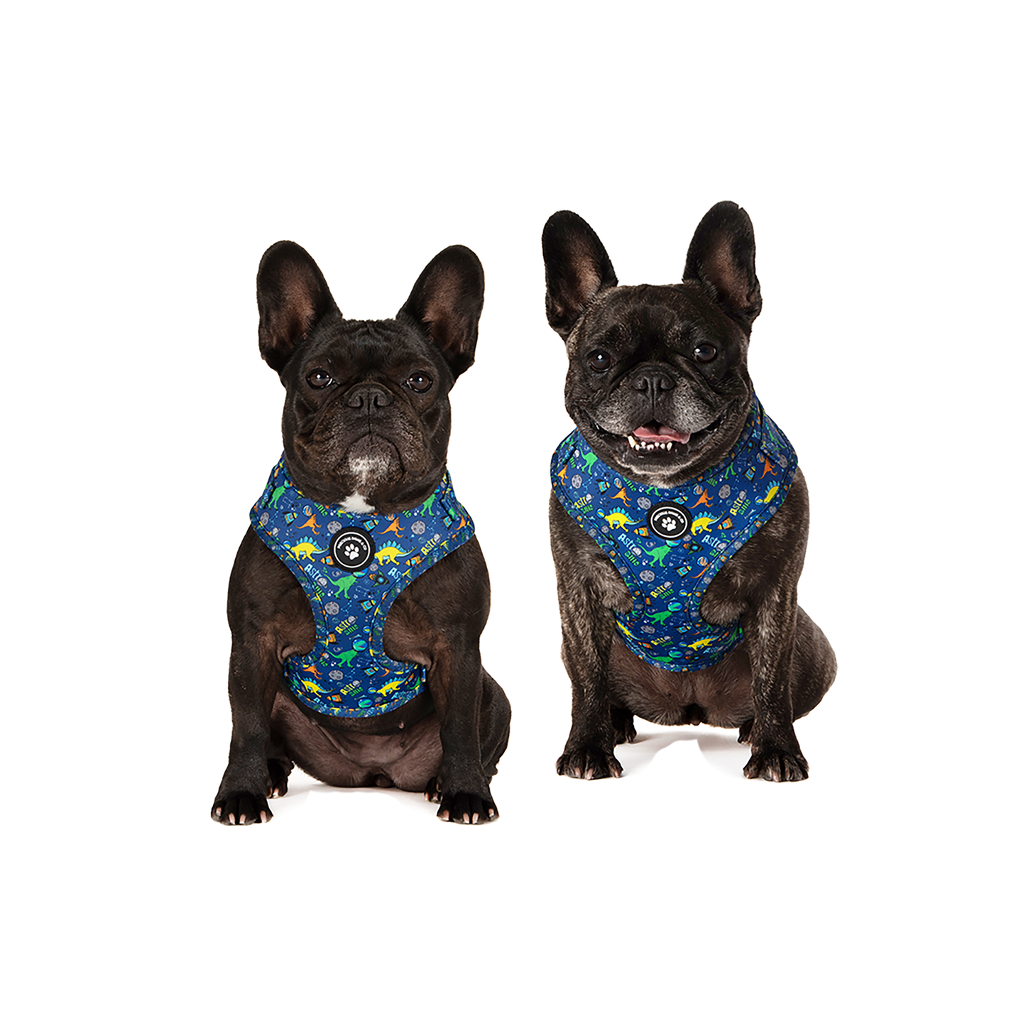 Dog Harness + Lead Set: Dinos of the Galaxy