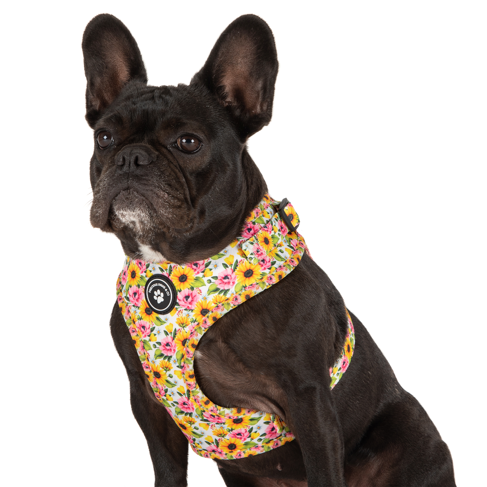 Dog Harness French Bulldogs, Dog Harness Small Dogs