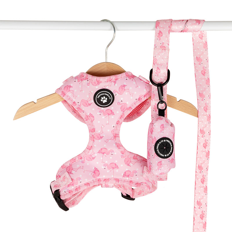 Dog Harness Dancing Flamingos