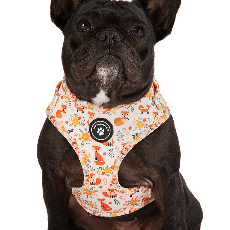 Dog deals harness afterpay