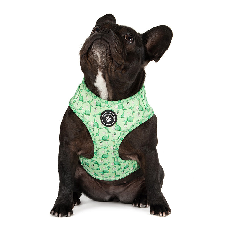 Dog Harness Dino Mite