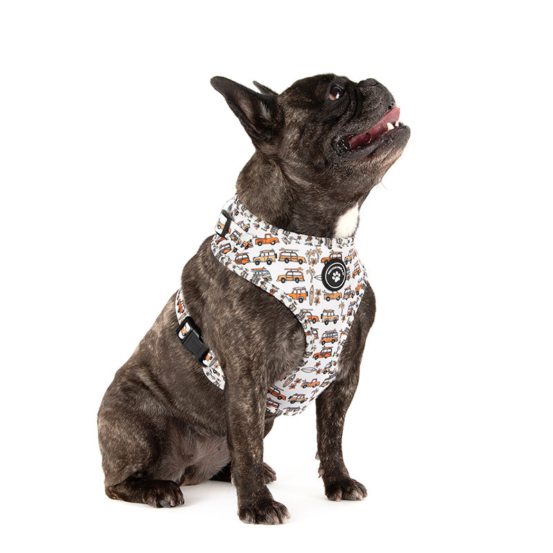 Buy xxs dog harness sale