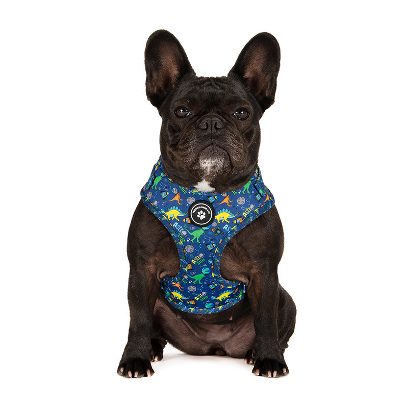 French bulldog harness australia sale