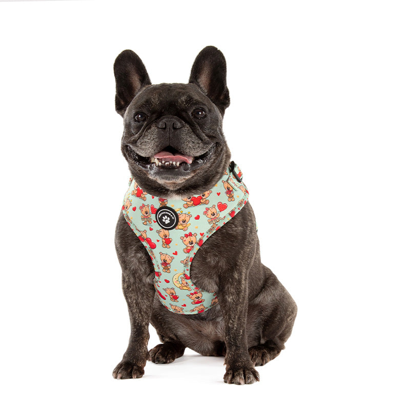 Bobs for dogs clearance harness