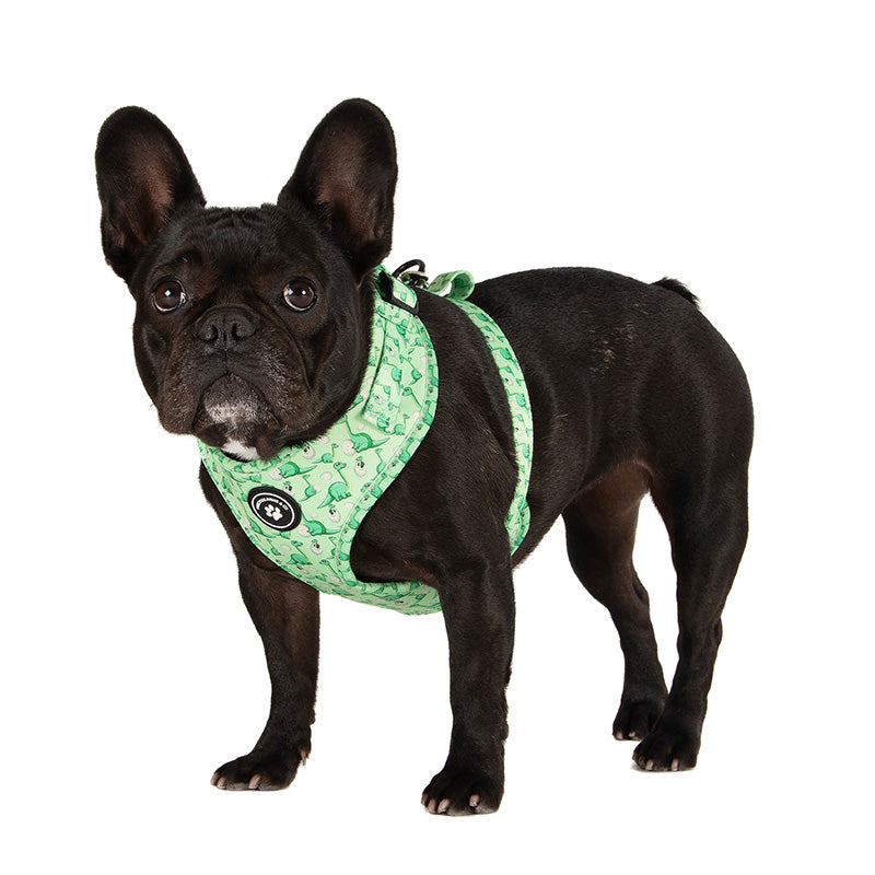 Puppy accessories online best sale