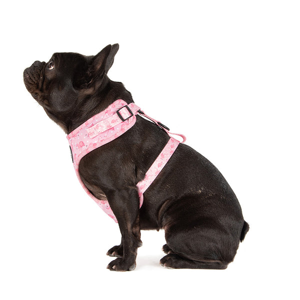 Flamingo dog harness best sale