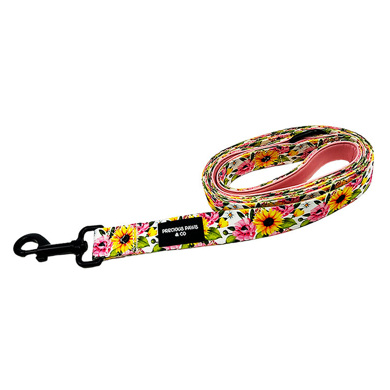 sunflower dog lead